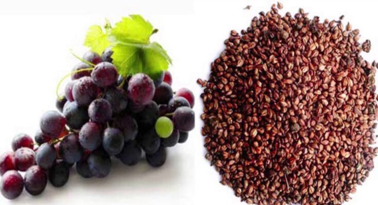 Natural Grape Seed Extract Market