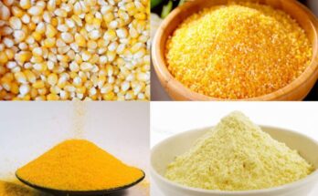 Corn Dry Milling Products Market