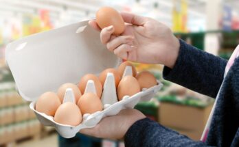 Eggs & Egg Products Market