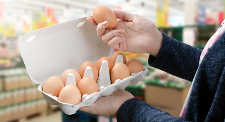 Eggs & Egg Products Market