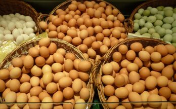 Eggs and Products Processing Market