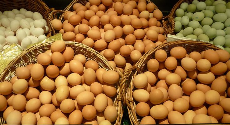 Eggs and Products Processing Market