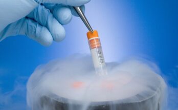 Embryo Freezing Medium Market
