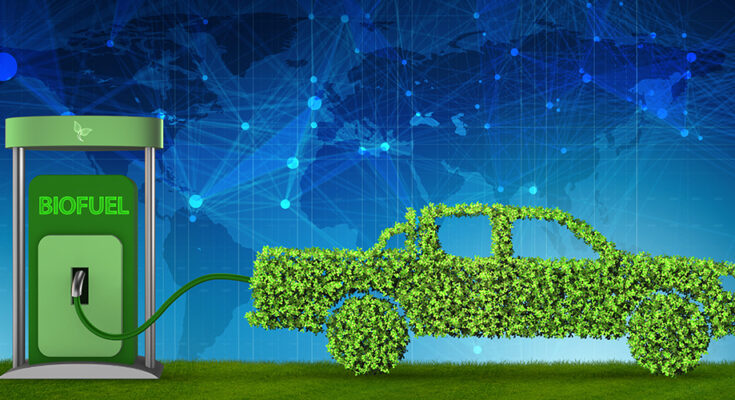 Motor Vehicle Biofuels Market