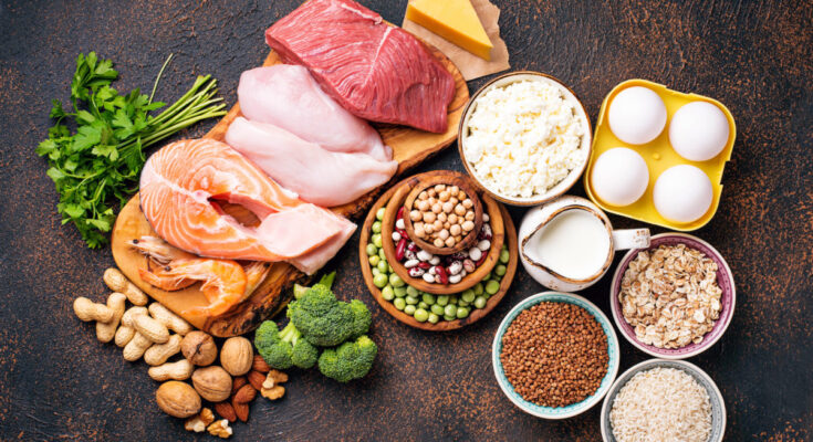 Protein Based Fat Replacers Market