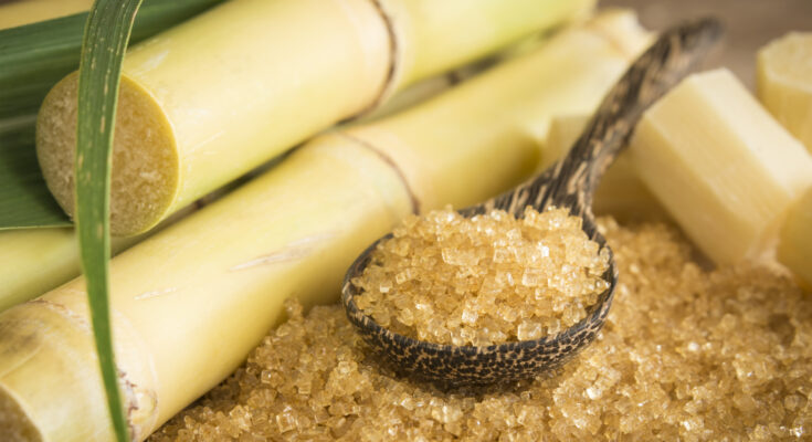 Sugarcane Market