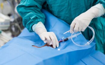Surgical Catheters Market
