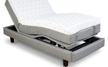 Therapeutic Bed Market