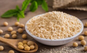 Soybean Protein Isolate Market