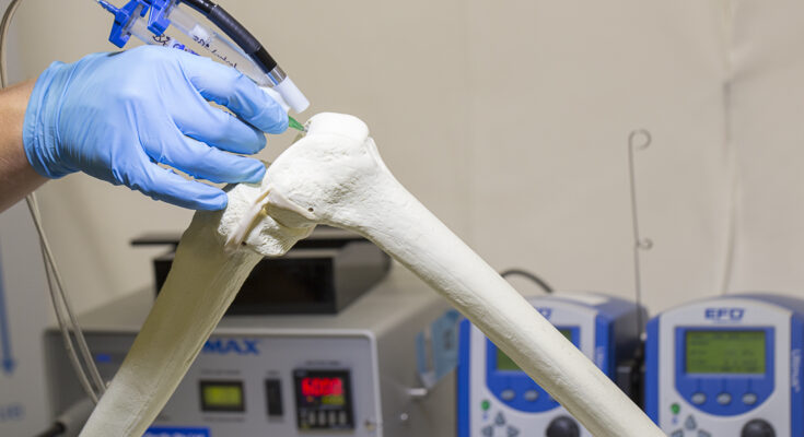 Biological Bone Repair Materials Market