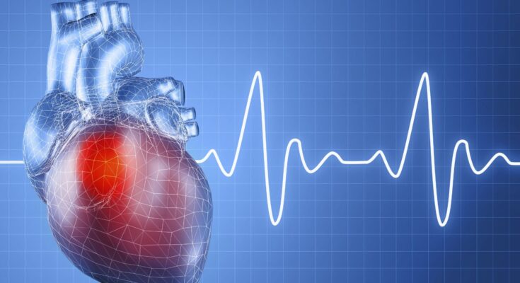Cardiac Monitoring & Cardiac Rhythm Management Devices Market