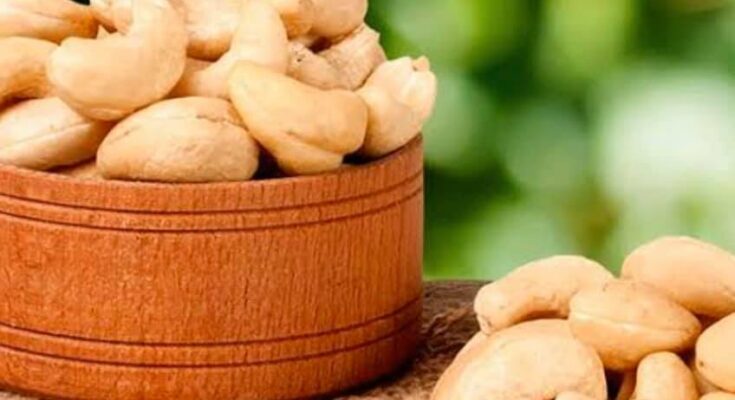 Dried Cashew Nut Snack Market