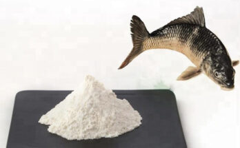 Fish Collagen Peptides Market