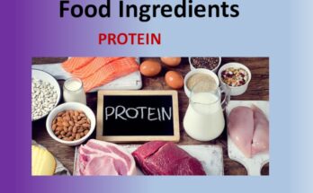 Food Protein Ingredient Market