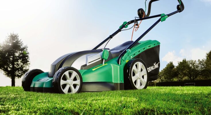 Lawn Mower Batteries market