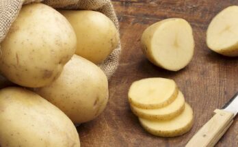 Potato Fibres Market