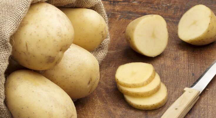 Potato Fibres Market