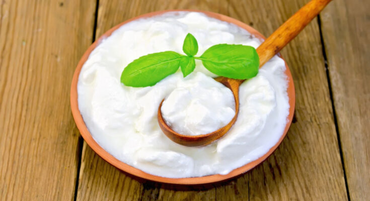 Probiotic Yoghurt Market