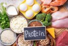 Protein-rich Foods Market