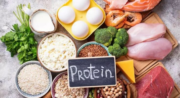 Protein-rich Foods Market