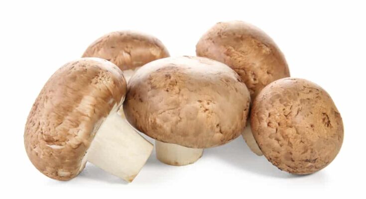 Retail Pack Cremini Mushroom Market