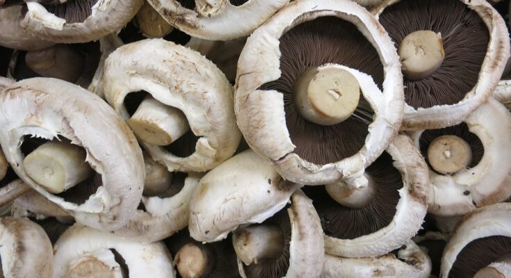 Retail Pack Portobello Mushroom Market