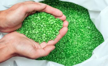 Biodegradable Plasticisers Market
