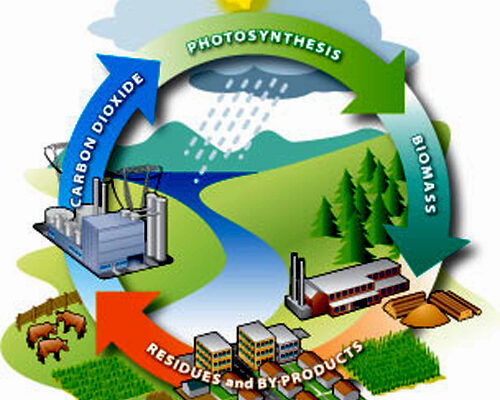 Biomass Refining Market