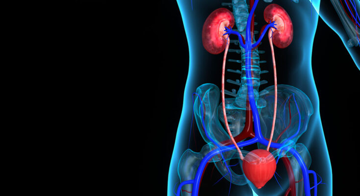 Complicated Urinary Tract Infections Treatment Market