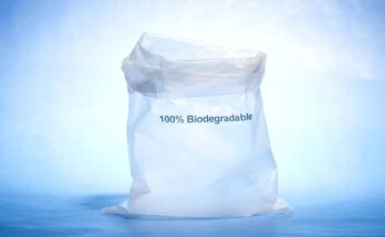 Eco-friendly Plastic Bags for Food and Industrial Packaging Market