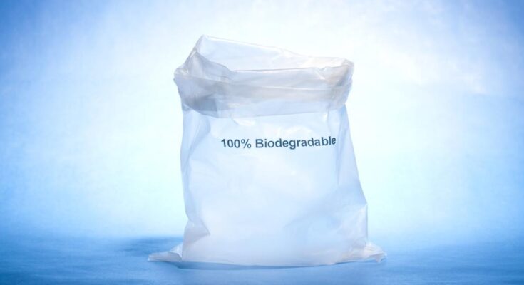 Eco-friendly Plastic Bags for Food and Industrial Packaging Market