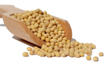GMO Soybean Market
