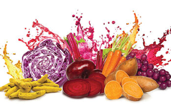 Natural Food Color Ingredients Market