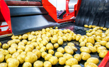Packaged Processed Potato Product Market
