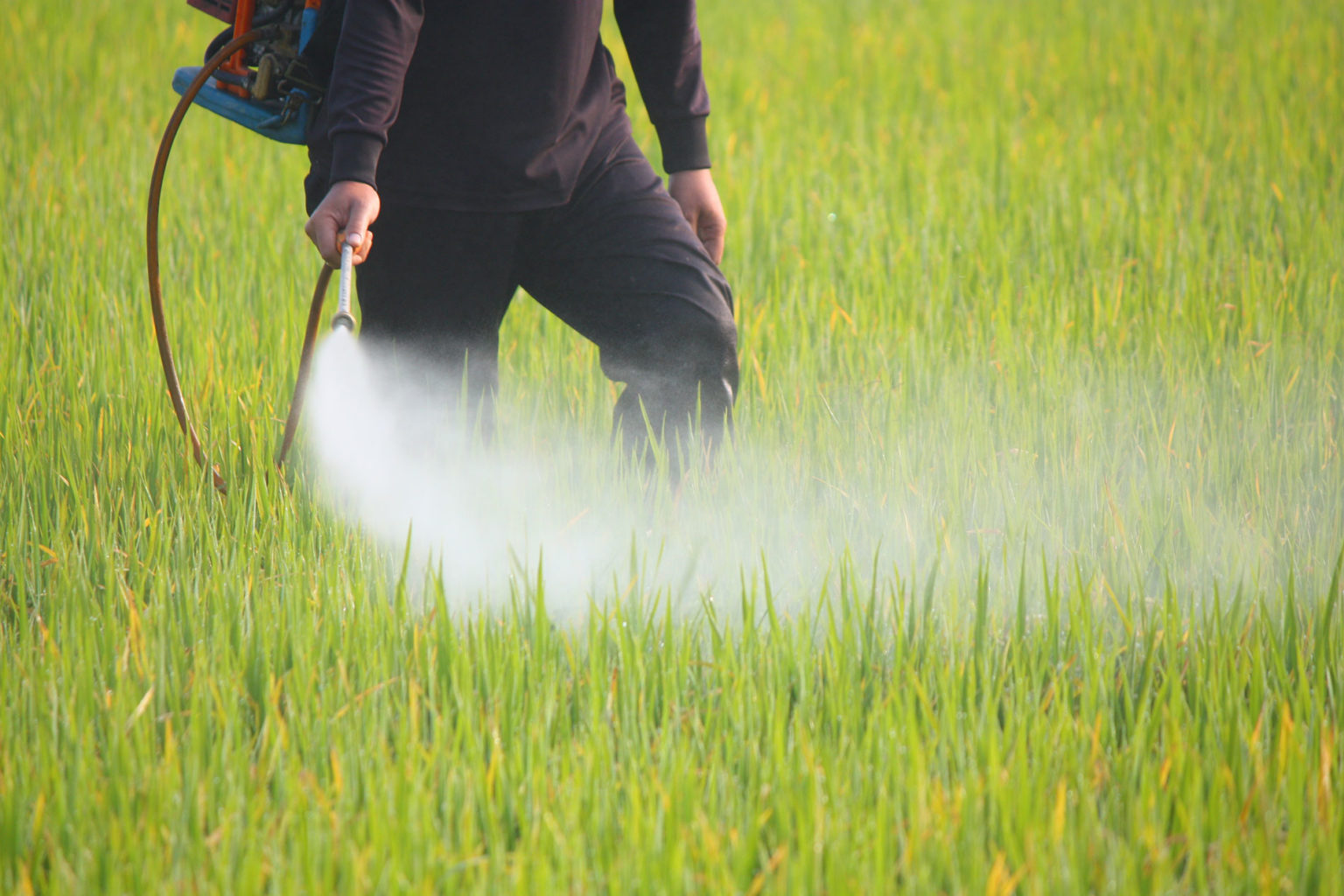 Pesticide Technical Material Market