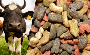Ruminant Animal Feeds Additives Market