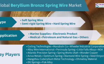 Beryllium Bronze Spring Wire Market
