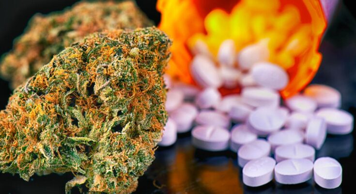 Cannabis Use Disorder Treatment Market
