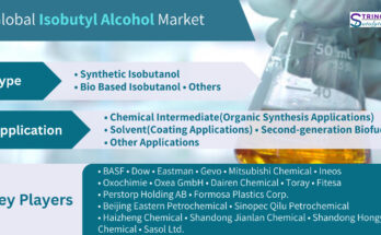 Isobutyl Alcohol Market