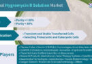Hygromycin B Solution Market