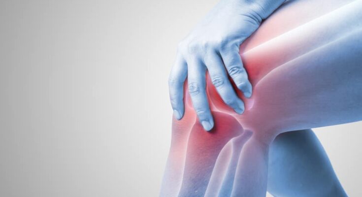 Orthopedic Cell Therapy Market