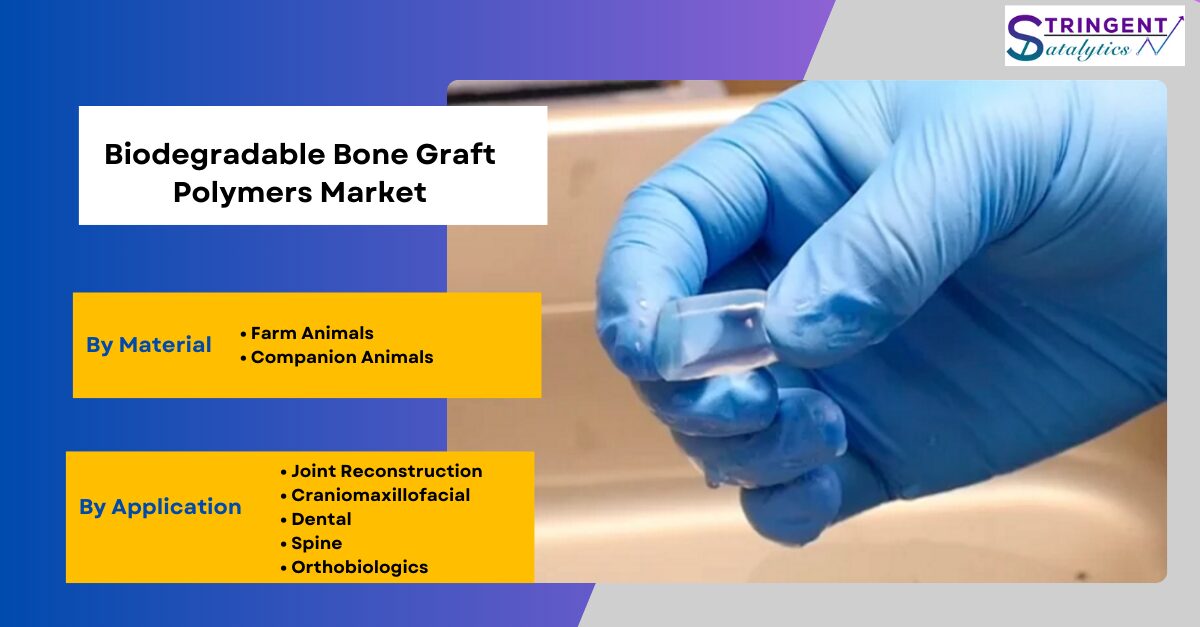 Biodegradable Bone Graft Polymers Market