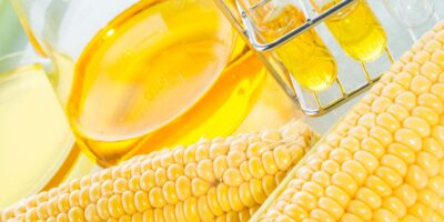 High-Fructose Corn Syrup Market