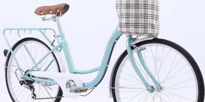 Adult Cruiser Bike Market