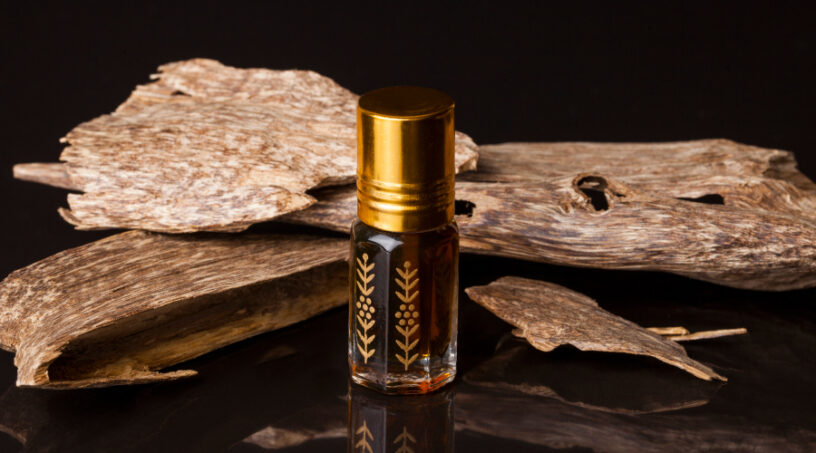 Agarwood Essential Oil Market