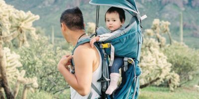 Baby Carriers For Hiking Market