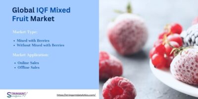 IQF Mixed Fruit Market