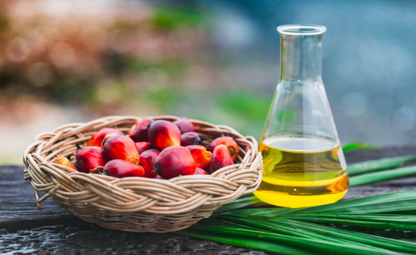 Palm Kernel Oil Market