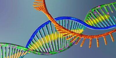 Single Cell RNA Sequencing Technology Market