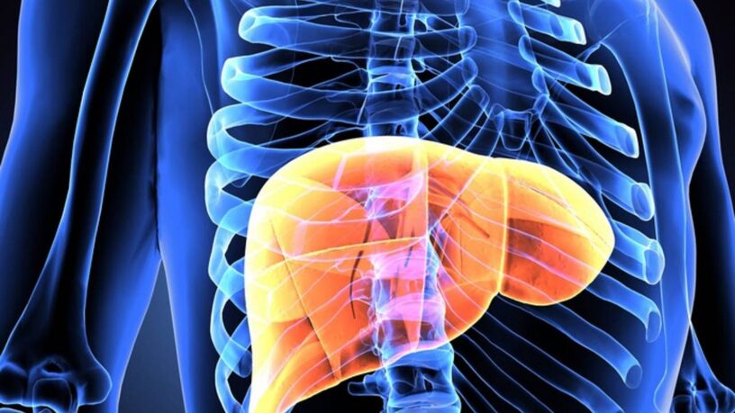 Hepatocellular Carcinoma Drug Market